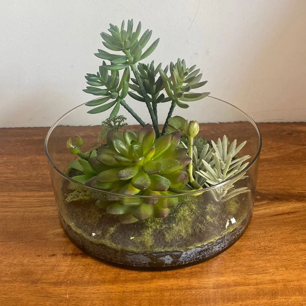 Target Threshold. Succulents in terrarium Glass bowl arrangement.